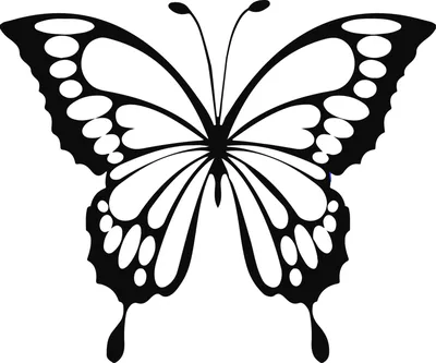 Красивые большие бабочки рисунок …» — создано в Шедевруме