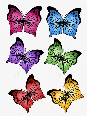Красивые Бабочки Для Дизайна. Векторное Изображение Клипарты, SVG, векторы,  и Набор Иллюстраций Без Оплаты Отчислений. Image 22473381