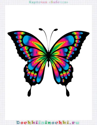 Красивые бабочки, они всегда удовольствие наблюдать, легкий и нежный  Flapping подгоняет летание Стоковое Изображение - изображение насчитывающей  полет, красивейшее: 76235949