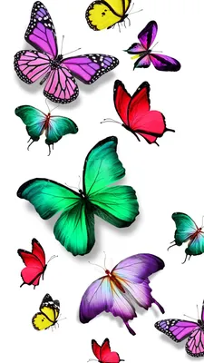 Butterflies. Stickers. Бабочки. PNG. | Бабочки, Рисунки