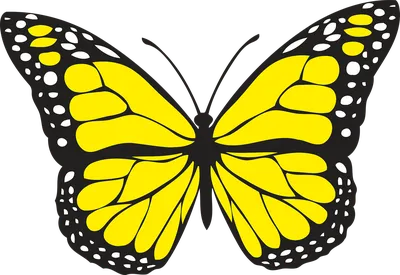 2 253 783 рез. по запросу «Бабочки» — изображения, стоковые фотографии,  трехмерные объекты и векторная графика | Shutterstock