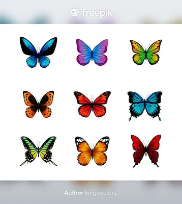 Бабочки, изолированные на белом фоне. | Премиум векторы | Цветочные фоны,  Элементы дизайна, Крылья бабочки