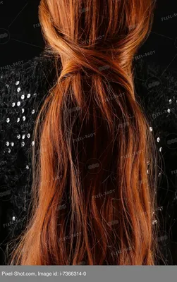 Задний Вид Красивые Светлые Волосы — стоковые фотографии и другие картинки  Женщины - Женщины, Светлые волосы, Солнце - iStock