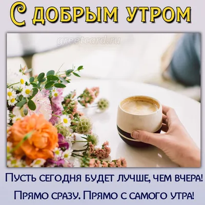 Пин от пользователя Светлана Баженова на доске Открытки | Красивые розы,  Праздничные открытки, Доброе утро