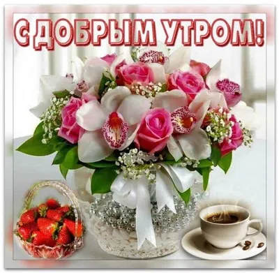 Создать мем \"доброго утра, красивые цветы, доброе утро красивые цветы\" -  Картинки - Meme-arsenal.com