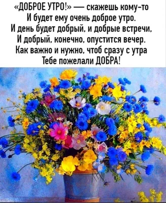 Доброе 🏵🍃💐🌿🏵 Утро любимым! | Flower tray, Happy birthday flower cake,  Flower gift