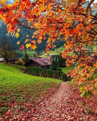 Природа осень (137 фото) »
