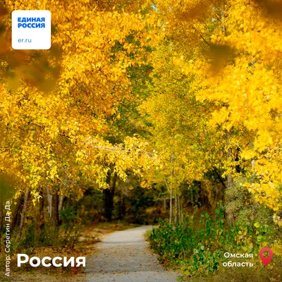 Золотая осень: Красивые фото природы из разных уголков России | Единая  Россия | Дзен