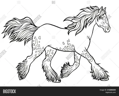 Красивые лошади в воде - картины и постеры от 999 руб| КартинуМне!