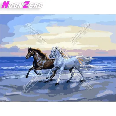 Две Красивые Лошади, Стоящие В Голубой Воде. Панорама Для Веб-сайта  Фотография, картинки, изображения и сток-фотография без роялти. Image  88336151