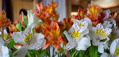 Красивые цветы - Доброе утро, друг. Желаю тебе проснуться... | Facebook