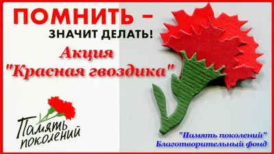 51 красная гвоздика на 9 мая за 12 290 руб. | Бесплатная доставка цветов по  Москве
