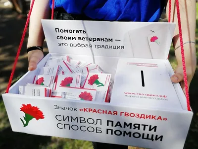 Гвоздика красная в Орле - Купить с доставкой от 100 руб. | Интернет-магазин  «Люблю цветы»