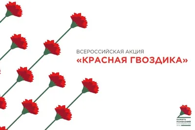 Красная гвоздика» открыла юбилейный сезон - KP.RU