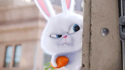 Раскраска кролик Снежок распечатать или скачать