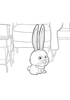 Кролик | Пикабу