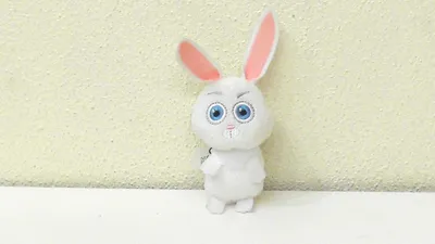Кролик снежок (43 фото) | Cute cartoon wallpapers, Cute cartoon pictures,  Cute bunny cartoon