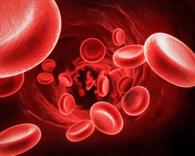Николаевская станция переливания крови ждет доноров: каких групп крови не  хватает
