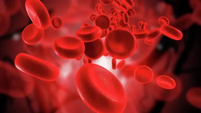 Группа крови, которая считается лучшей | РБК Украина