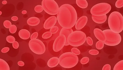 10 фактов о крови - Телеканал Доктор