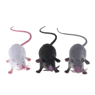 смешные крысы 2 стоковое изображение. изображение насчитывающей  млекопитающее - 4201273