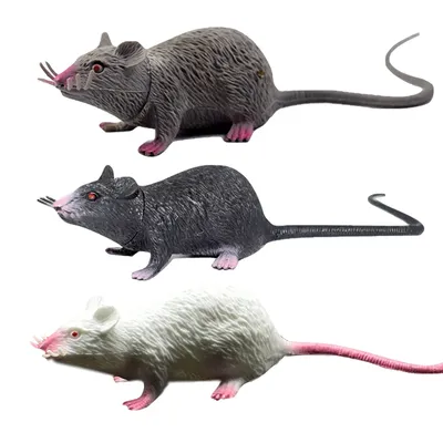 Смешные милые животные крысы с большим чемоданом путешествуют Стоковое Фото  - изображение насчитывающей крыса, авиапорты: 199135518