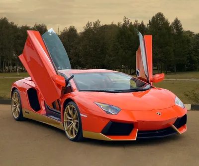 Самый дорогой Lamborghini в России — почему он столько стоит и совсем не  похож на ваш автомобиль? — Видео — Тест-драйв — Motor