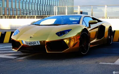 Skit Maker “LordLamba” adds a Lamborghini to his fleet of cars!! 👀 I... |  TikTok