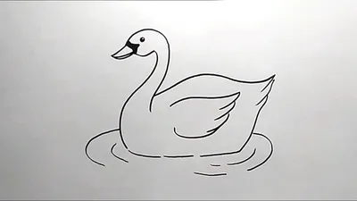 Поэтапное рисование лебедя - 56 фото