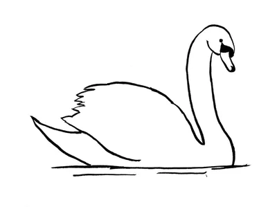 Рисунок лебедь простой - 48 фото