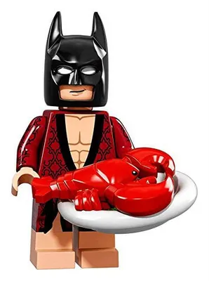 Lego batman, robin and joker Halloween costumes - Toys - Sunnyvale,  California | Facebook Marketplace | Facebook