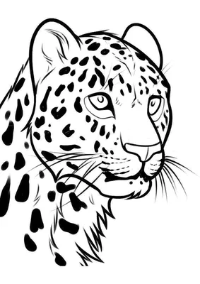 Национальный парк «Земля леопарда» отмечает 10 лет со дня основания »  Новости Нарьян-Мара сегодня – Последние события в НАО – Информационное  агентство NAO24.RU