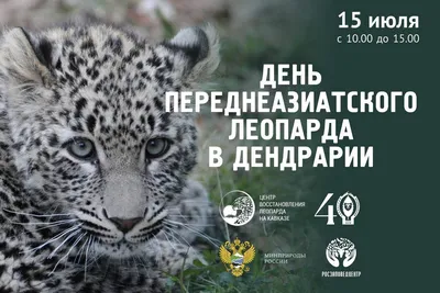 Леопард появился в Грузии спустя 14 лет - 06.06.2023, Sputnik Грузия