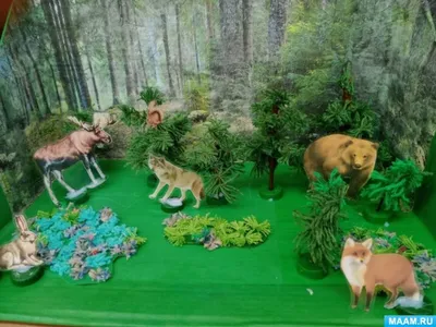 Животные вектора мультфильма, которые живут в лесу. Иллюстрация вектора -  иллюстрации насчитывающей напольно, белка: 207238453