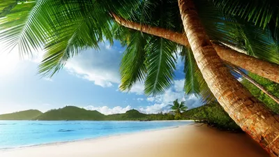 Обои лето закат пляж море пальмы солнце отдых на рабочий стол