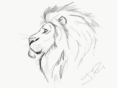 Рисунок для срисовки карандашом лев - 60 фото