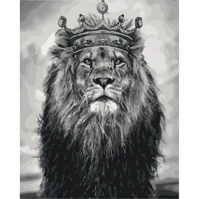 Радужный лев Ваю Ромдони — 02ART40500001 40х50 см / Купить картину по  номерам Артвентура