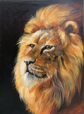 Лев - царь всех зверей. Любопытные факты об этом животном | Любимые питомцы  | Дзен
