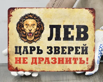 Картина по номерам \"Лев - Царь зверей\" (40х50) (id 112633379), купить в  Казахстане, цена на Satu.kz