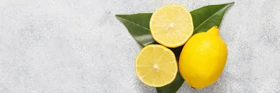 Лимон витаминный. - Павловский питомник