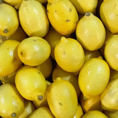 Цедра лимона С.Пудов, 10 г — Купить по выгодной цене в интернет-магазине  С.Пудовъ