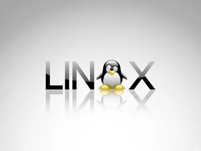 Top 10 Linux Distros in 2024
