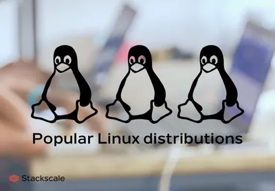 Framework | Linux on the Framework Laptop