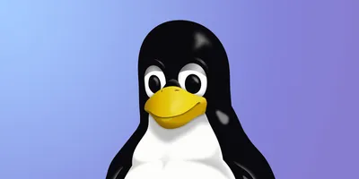 12 вещей, которые раздражают в Linux, и способы их исправить - Лайфхакер