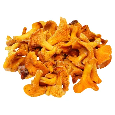 Сушеные грибы лисички - купить с доставкой по выгодным ценам в  интернет-магазине OZON (651352235)