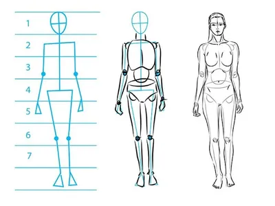Как нарисовать тело девушки в полный рост (55 фото) » Идеи поделок и  аппликаций своими руками - Папикпро.КОМ