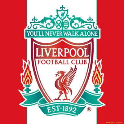 Pin by Ebrahim Saban on LFC Liverpool fc | Liverpool football, Liverpool  football club, Liverpool team
