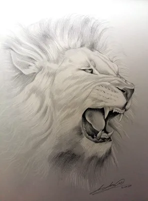 Льва нарисованные