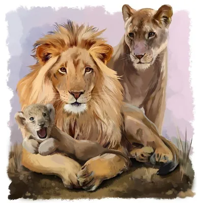 Львица защищает детеныша - картинки и фото koshka.top