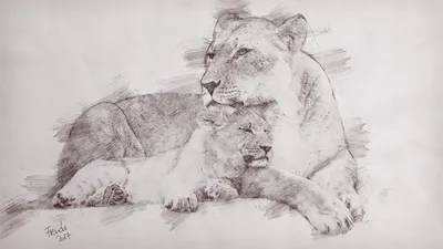 Отец-лев стоит со своим крошечным котенком на скале в Национальном парке  Серенгети. / Король Лев (The Lion King) :: живность :: животные :: львёнок  :: Лев :: фото :: art (арт) /